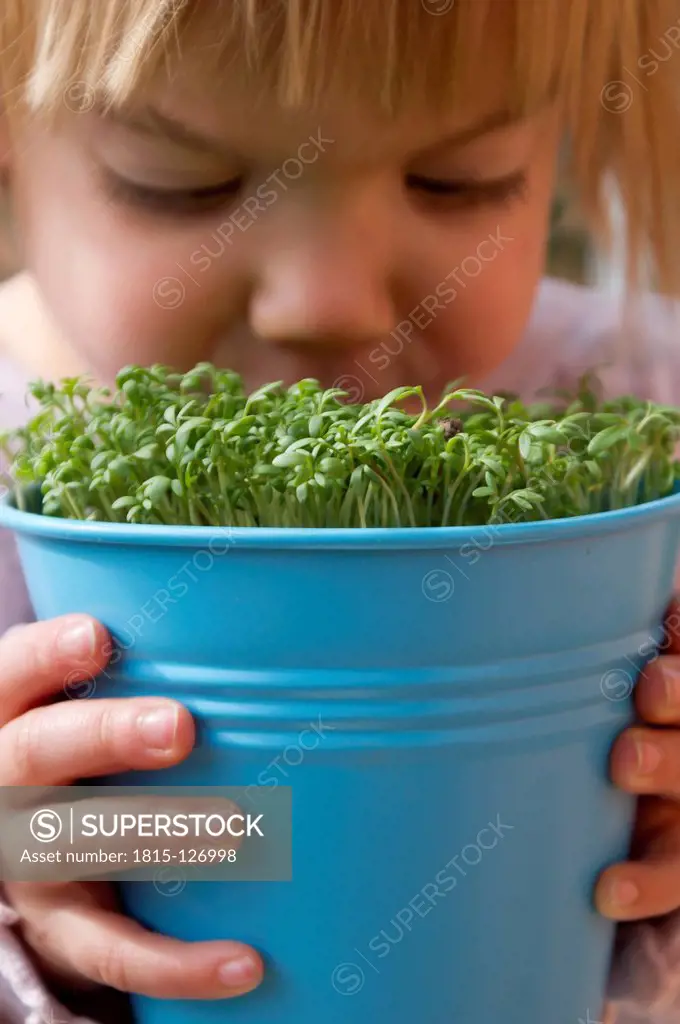 Girl holding blue pot with garden cress, close up