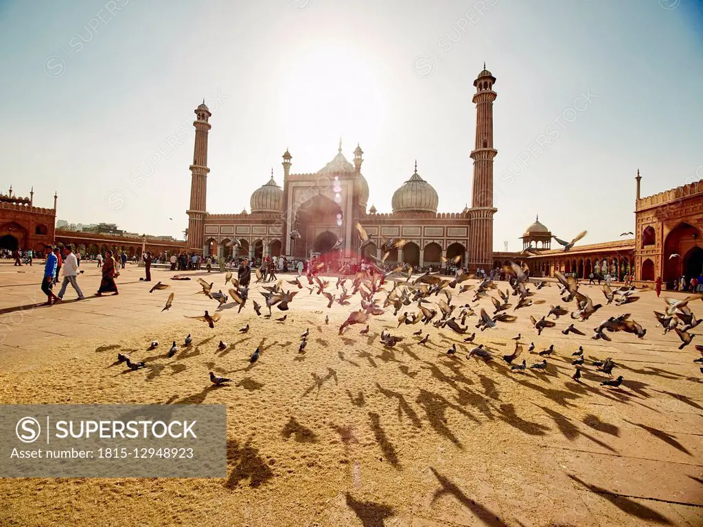 India, Uttar Pradesh, Agra, Jama Masjid Mosque, flying pigeons