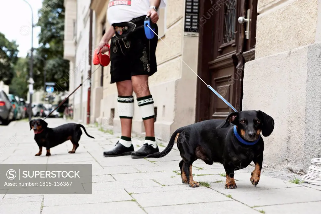 Germany, Bavaria, Munich, Senior man walking with dogs