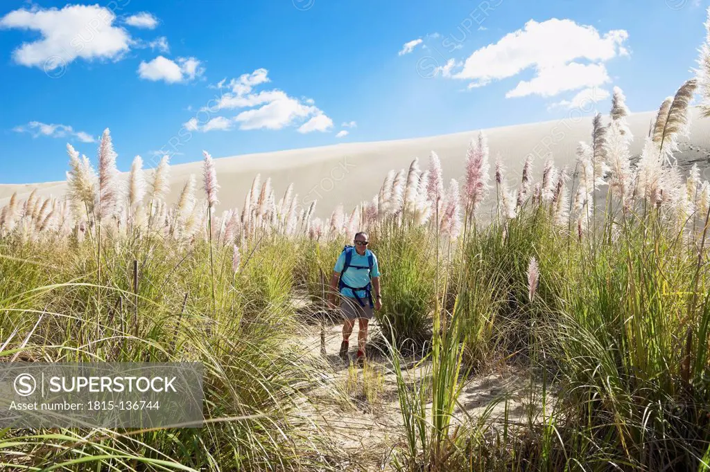New Zealand, Mature man hiking along Te Paki Sand Dunes