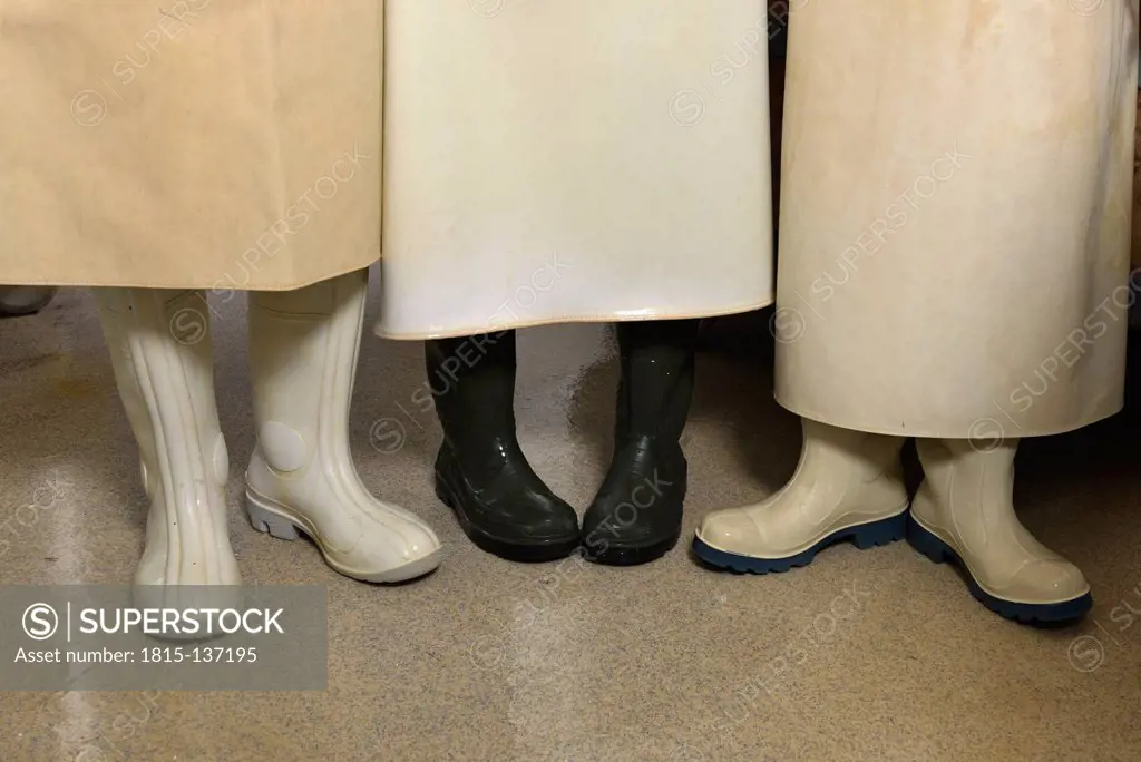 Germany, Baden Wuerttemberg, Workers in rubber boots at cheese production industry