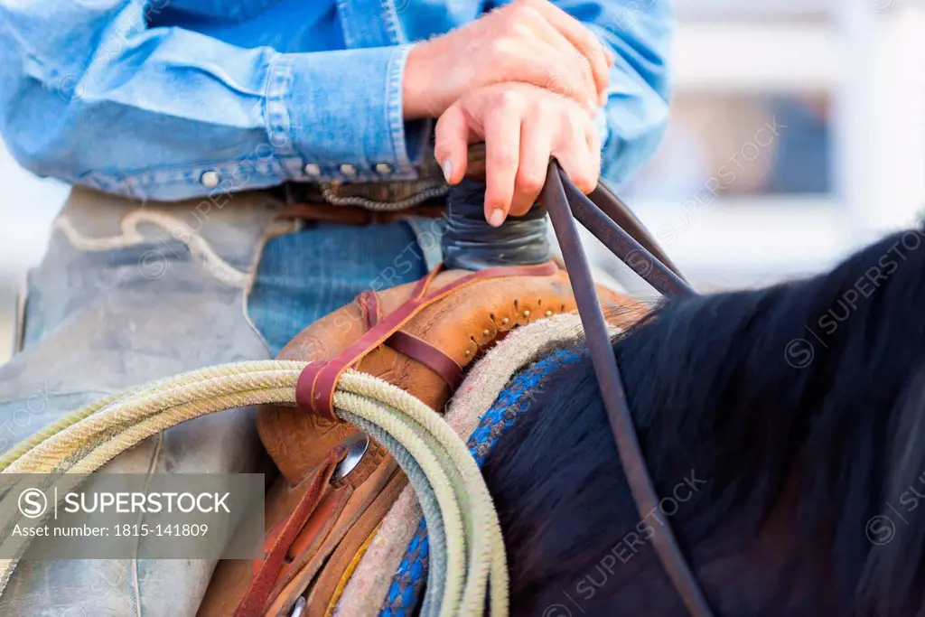 USA, Texas, Cowboy sitting on horseback and holding rope