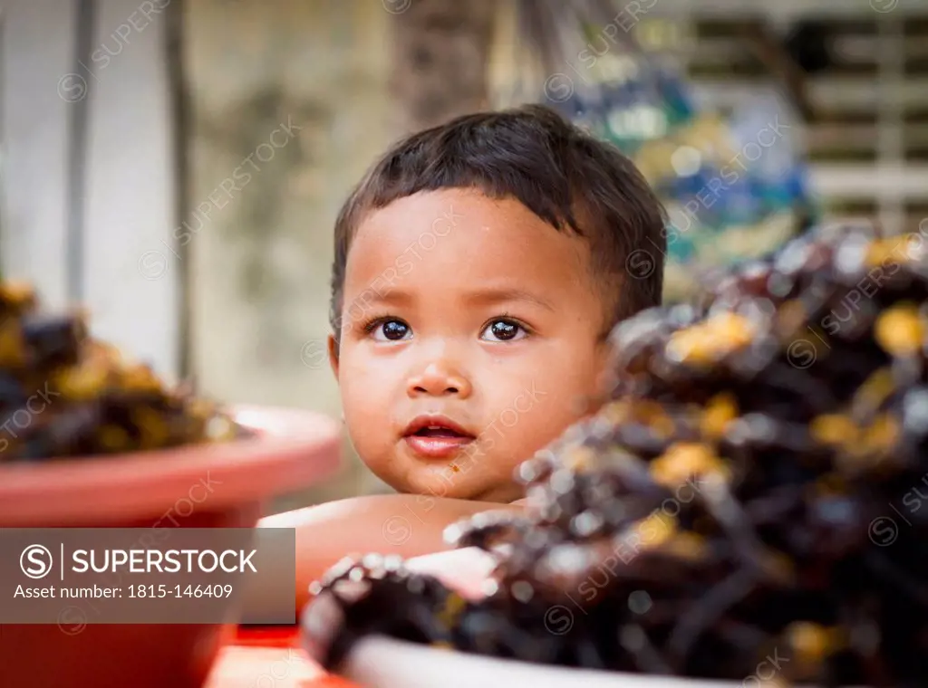 Cambodia, Baby boy behind fried tarantula spiders