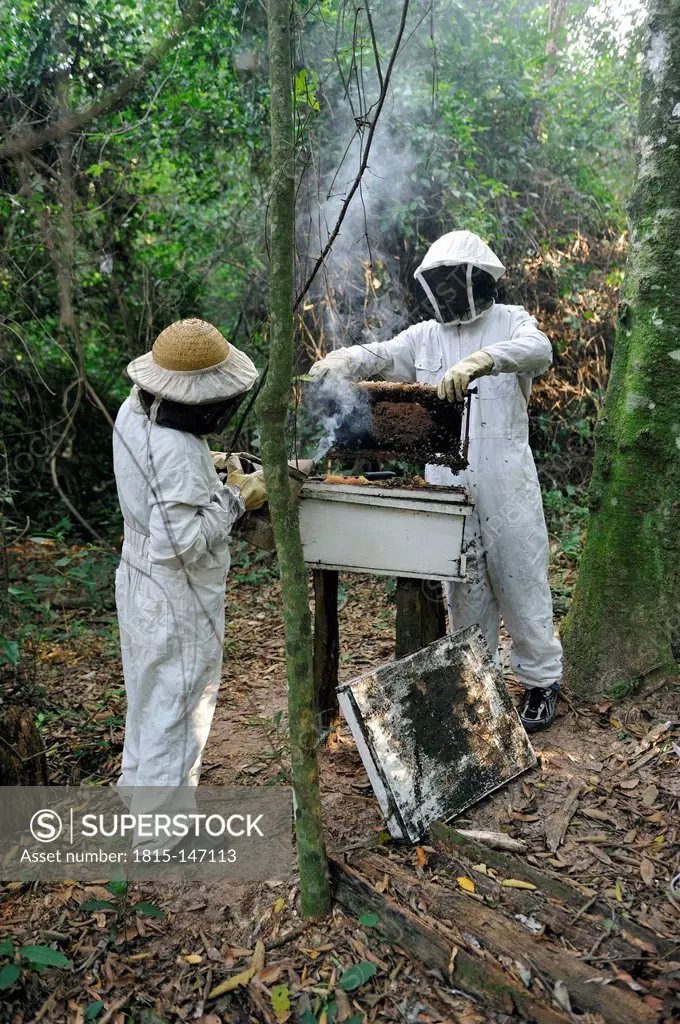 Paraguay, Caaguazu, Mbya-Guarani men working at beehive in protective clothing