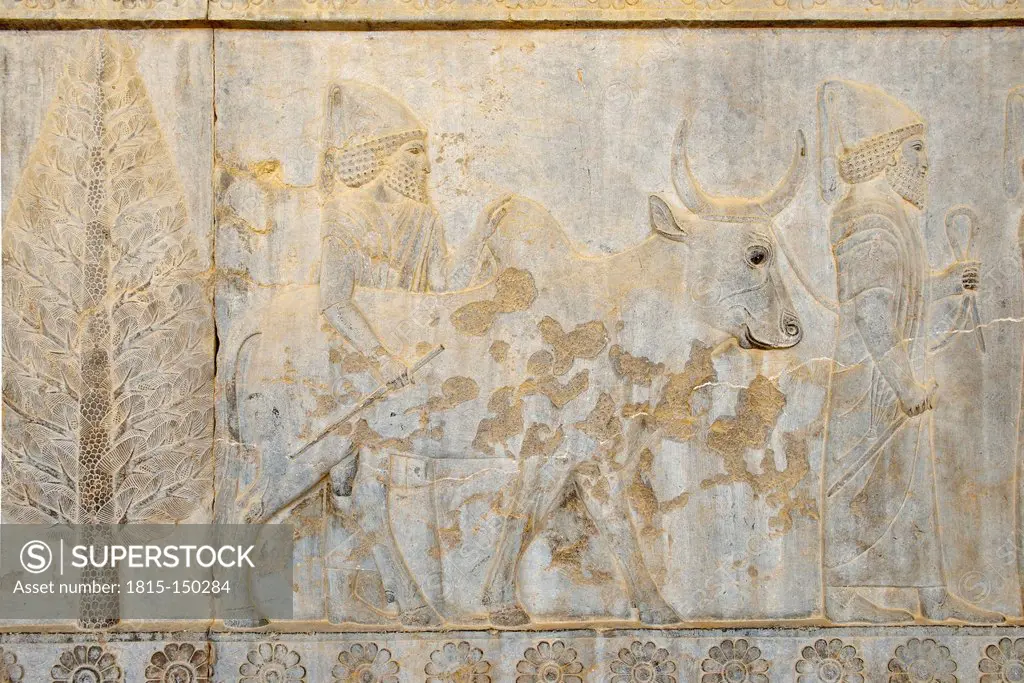 Iran, Persia, Persepolis, delegation bas-relief on the Apadana Palace