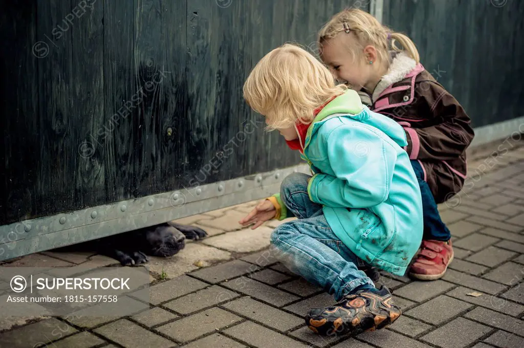 Two children looking at snout of watchdog