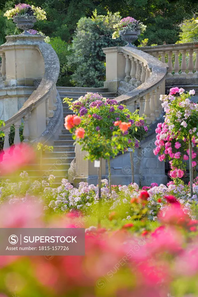 Germany, Baden-Wurttemberg, Mainau Island, Staircase in Italian Rose Garden