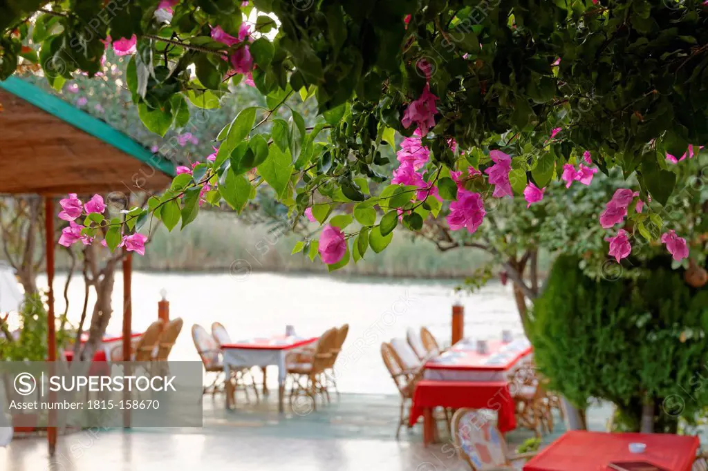 Turkey, Province Mugla, Bougainvillea and tables in a restaurant at Dalyan River
