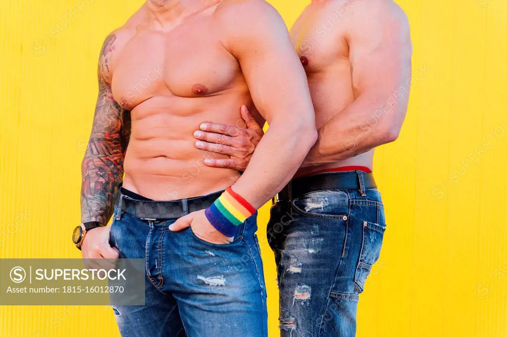 Crop view of gay couple against yellow background