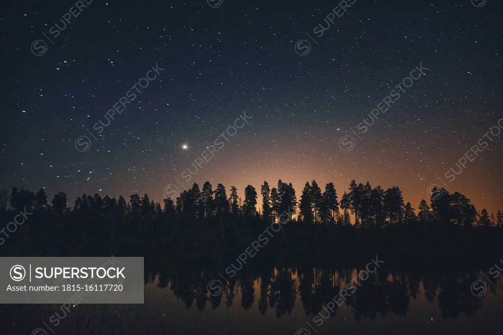 Starry sky over trees in Sodermanland, Nykoping, Sweden