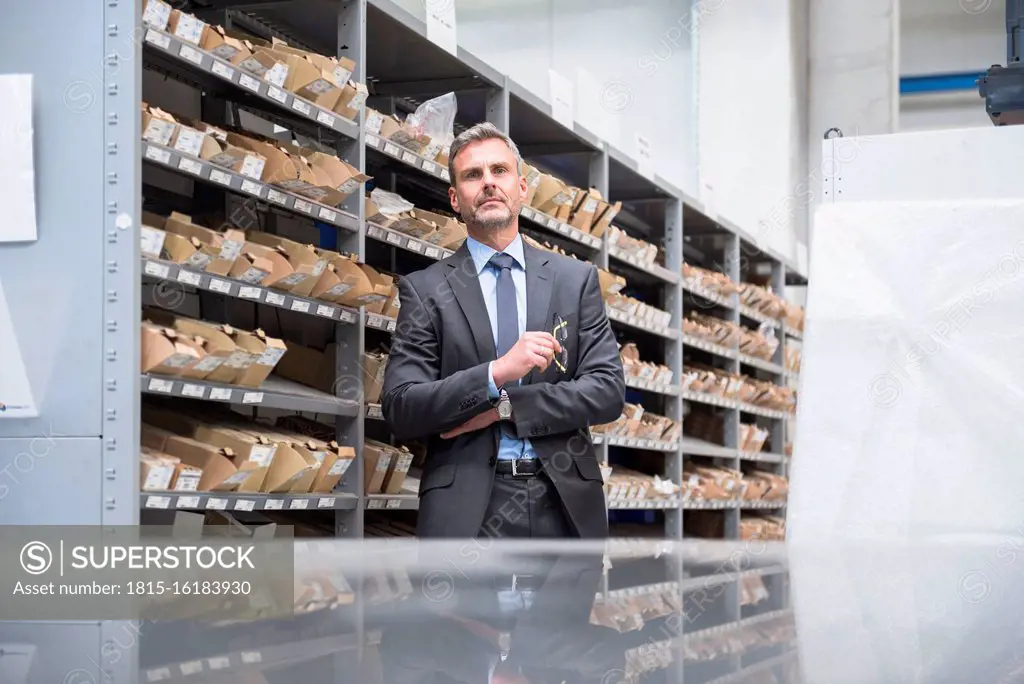 Portrait of a confident mature businessman at a shelf in a factory