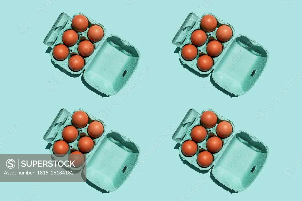 Studio shot of chicken eggs in turquoise colored cartons