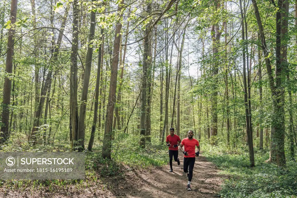 Sportsmen running on forest path