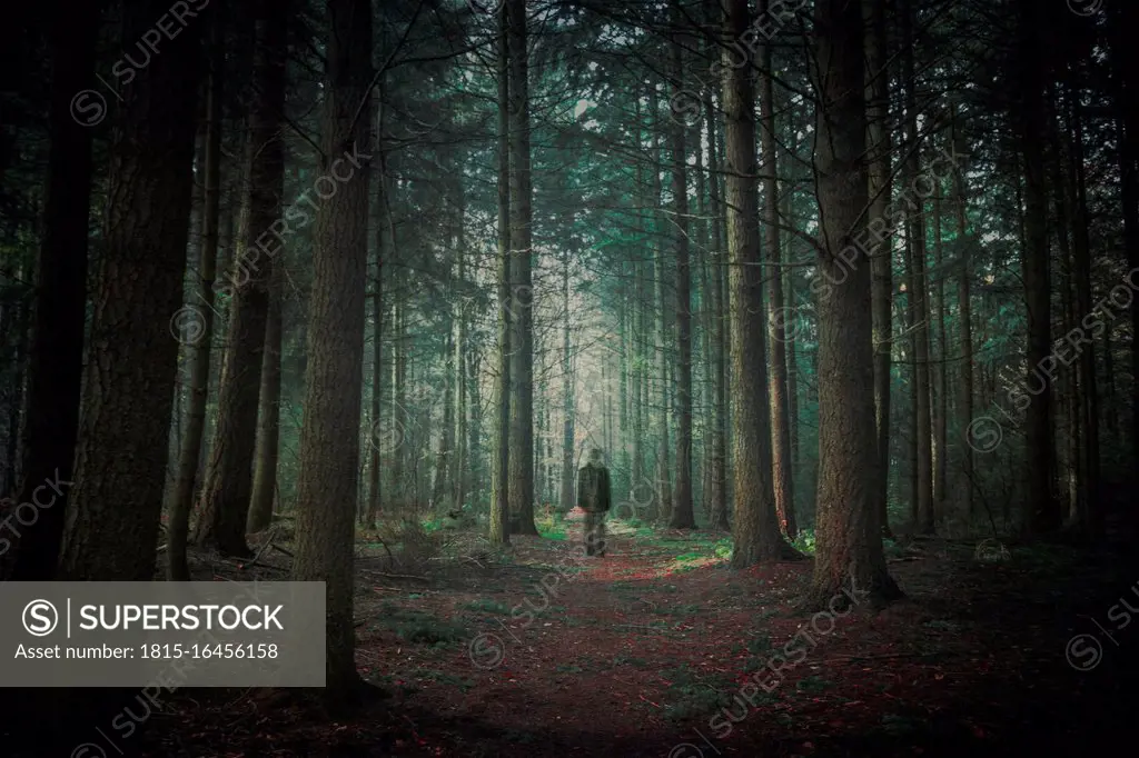 Person walking in dark forest, alienation