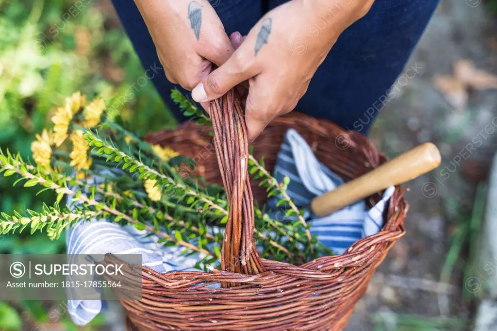 Hands of woman holding basket while standing in back yard