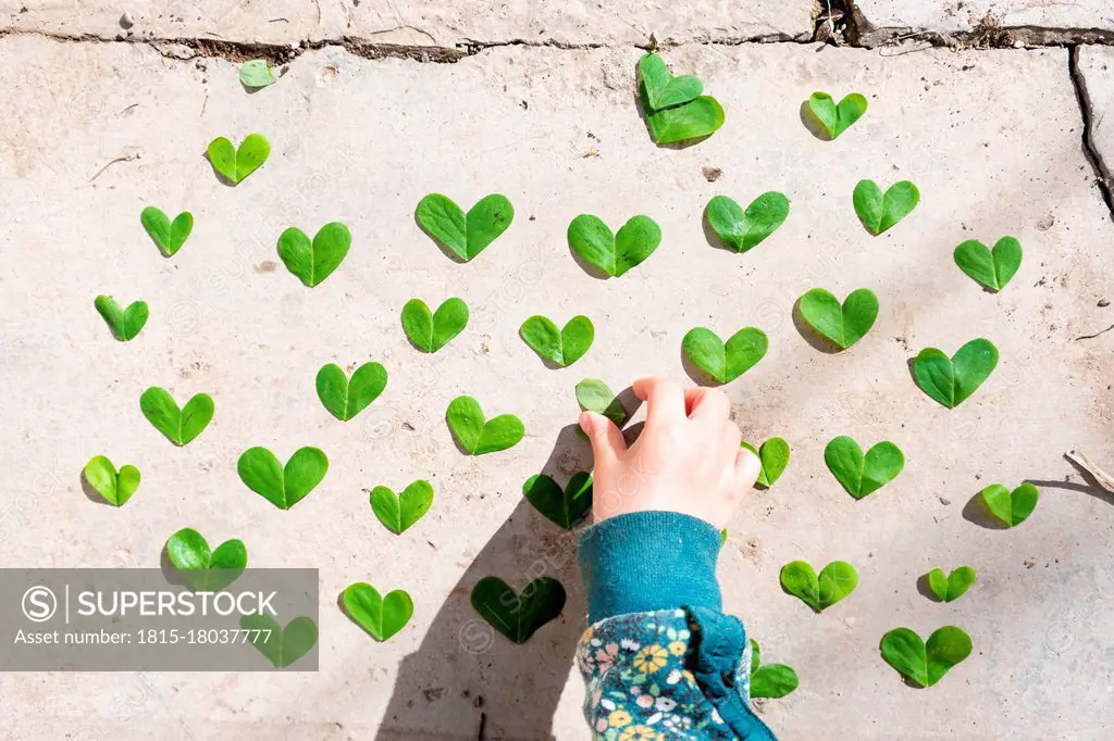 Girl arranging heart shaped green leaves pattern on cement
