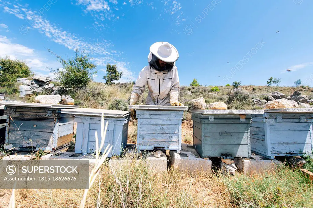 Male beekeeper opening box at farm