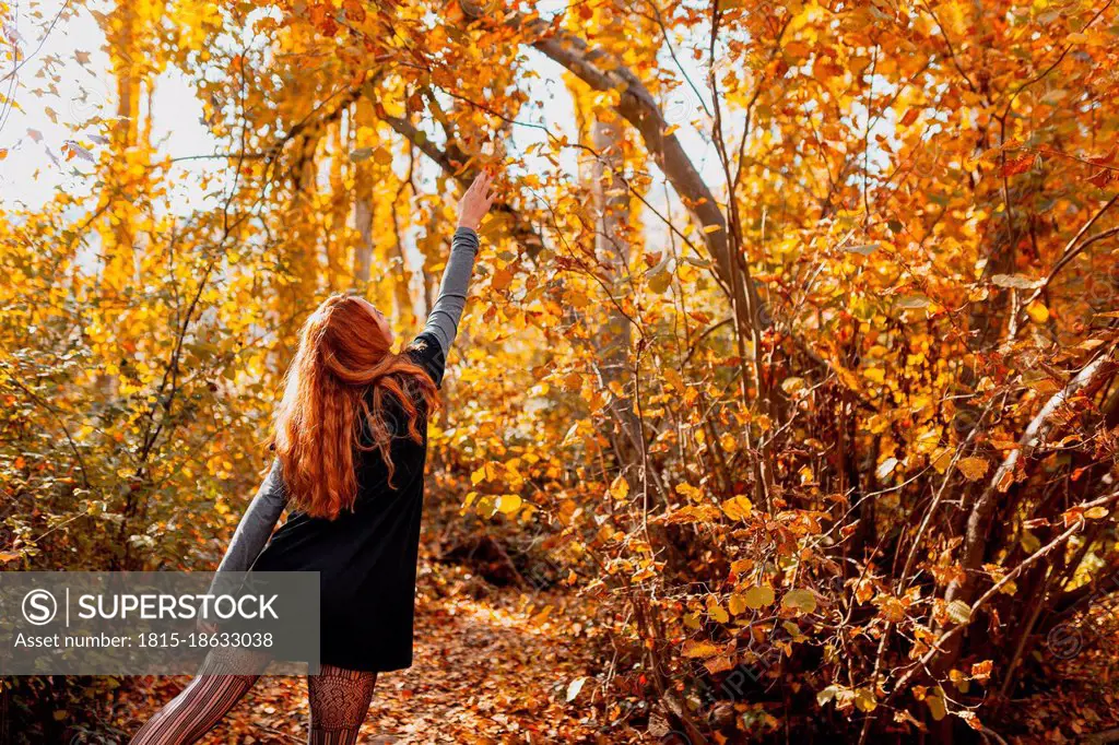 Woman stretching hand while standing in forest during autumn