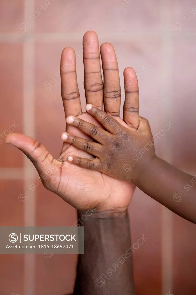 Girl touching hand of father