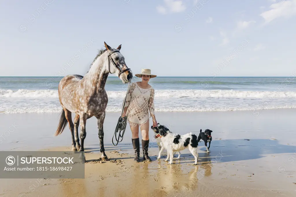 Pregnant woman with horse and dogs at beach