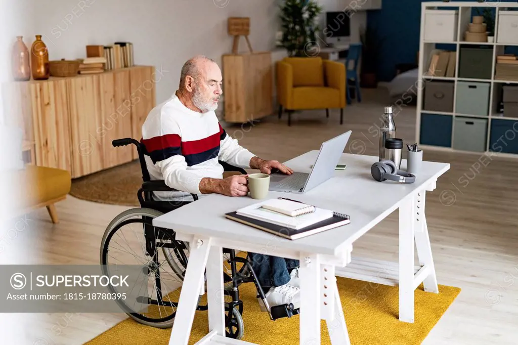 Senior businessman on wheelchair with coffee mug using laptop at home office