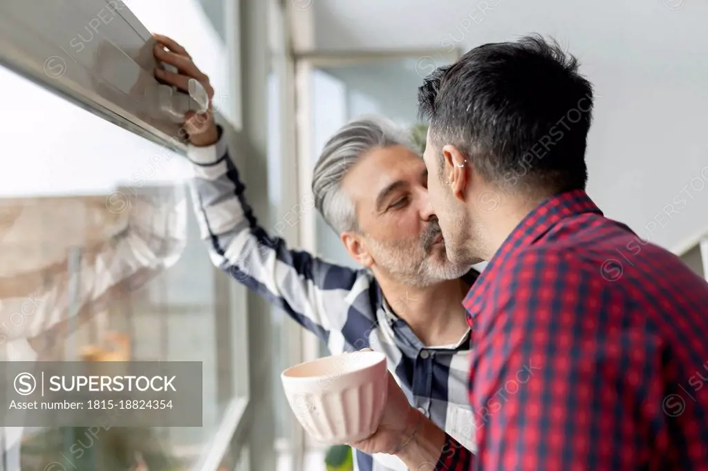 Gay couple kissing each other near window at home