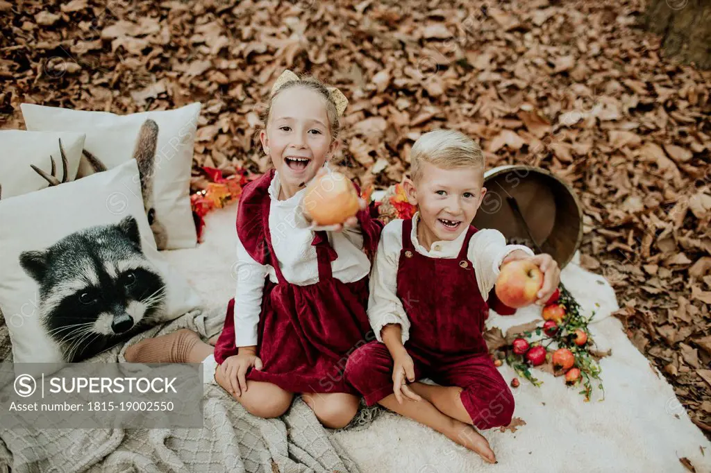 Happy brother and sister showing apples at picnic in forest