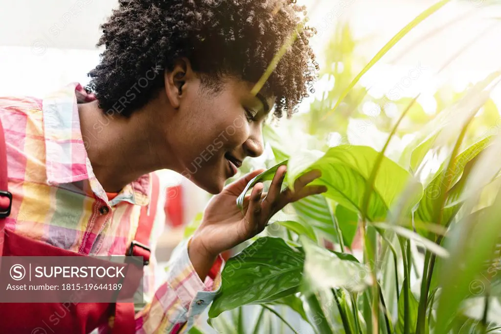 Smiling gardener smelling leaf of plant at nursery