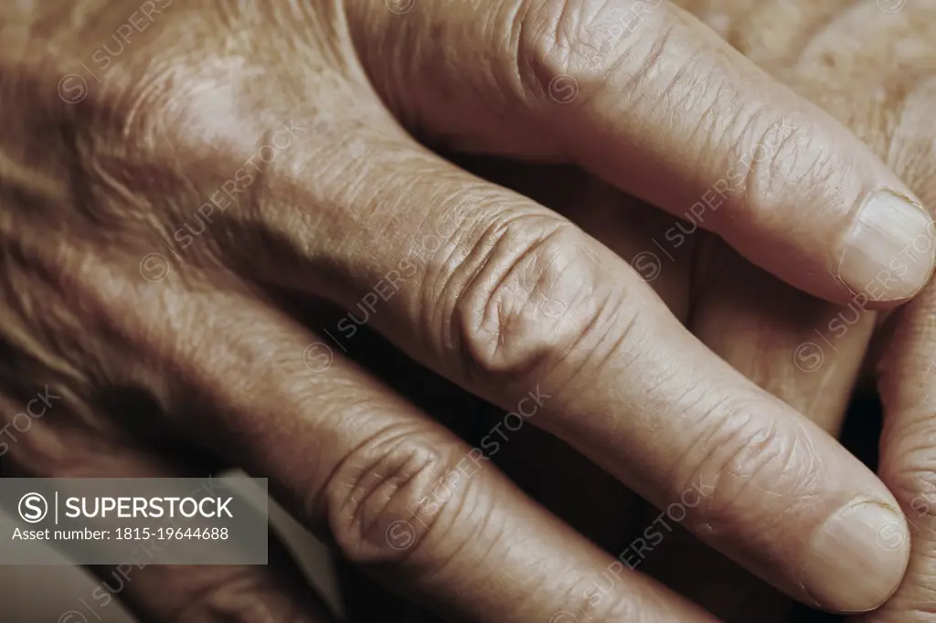 Wrinkled hands of senior man