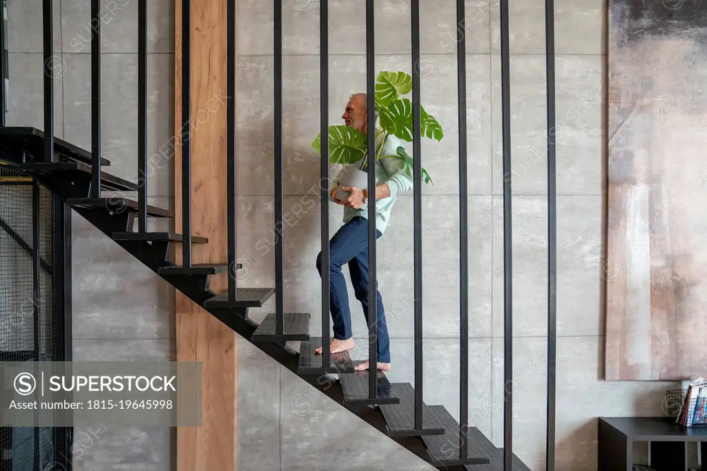 Man holding houseplant moving up on staircase at home