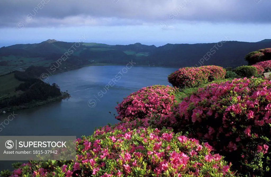 Azores, Sao Miguel, Furnas valley