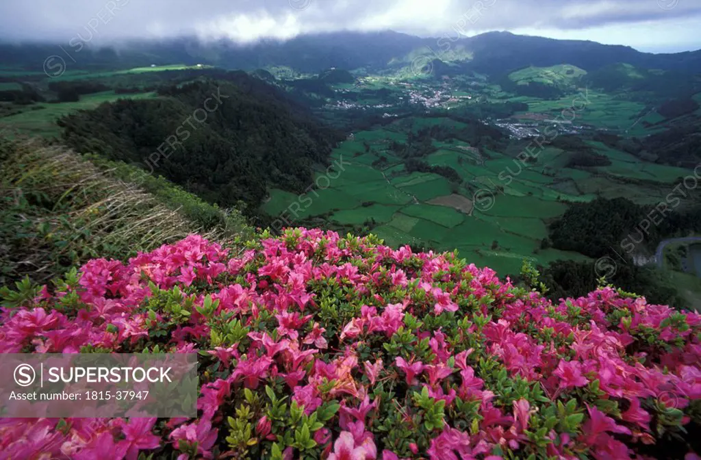 Azores, Sao Miguel, Furnas valley
