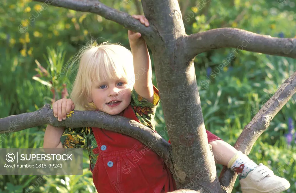 Little girl climbing on tree, portrait