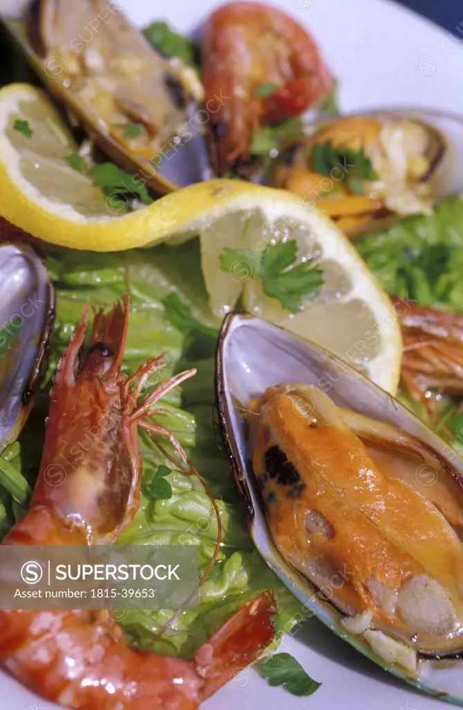 Meze, appetizer, shrimp and mussels, Cyprus