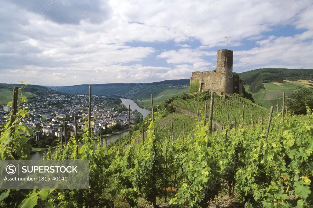 Old castle and vinyards at Moselle, Germany
