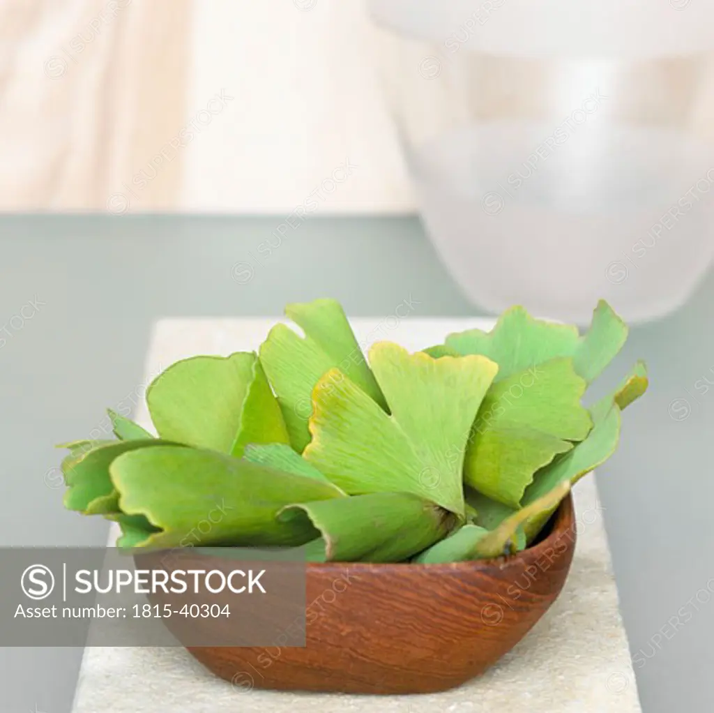 Ginkgo leaves in wooden bowl (Ginkgo biloba)