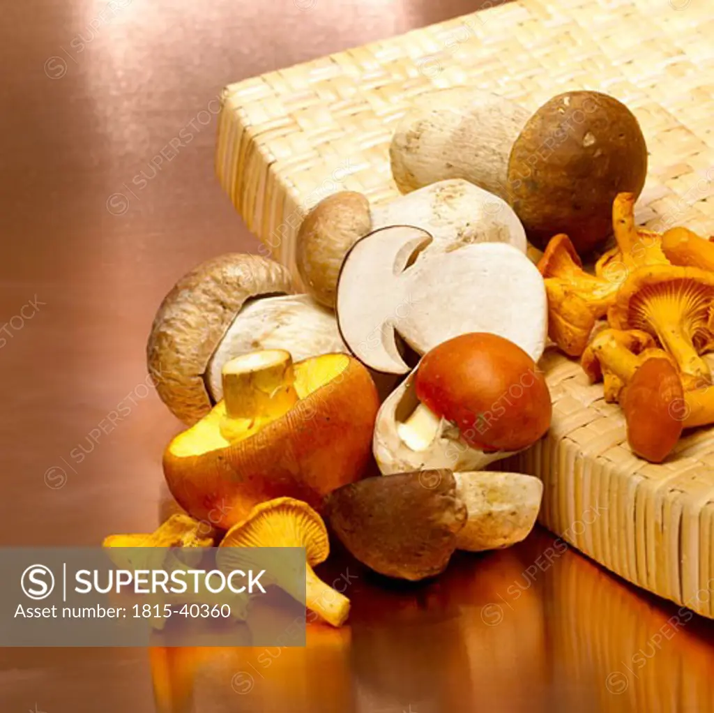 Variety of mushrooms