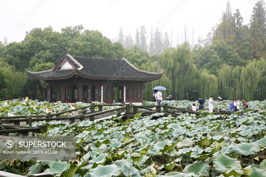 China, Hangzhou, Lotus and pavilion in West Lake