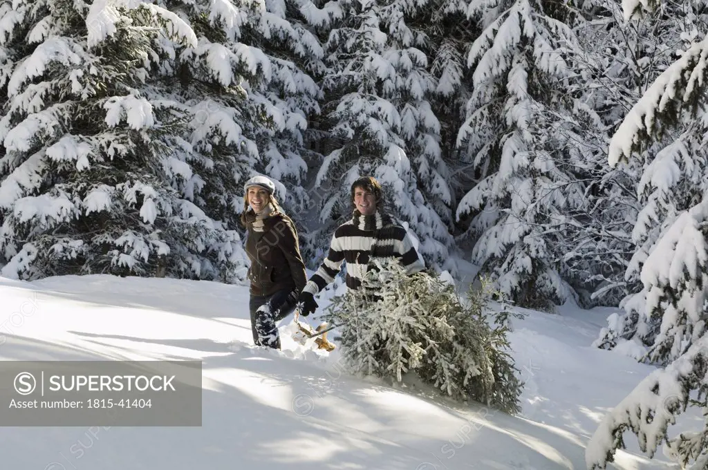 Austria, Salzburger Land, Altenmarkt, Young couple in snowscape, transporting fir tree