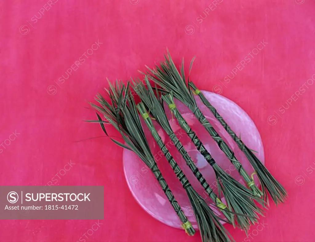 Bunched sedge grass on plate, high angle view