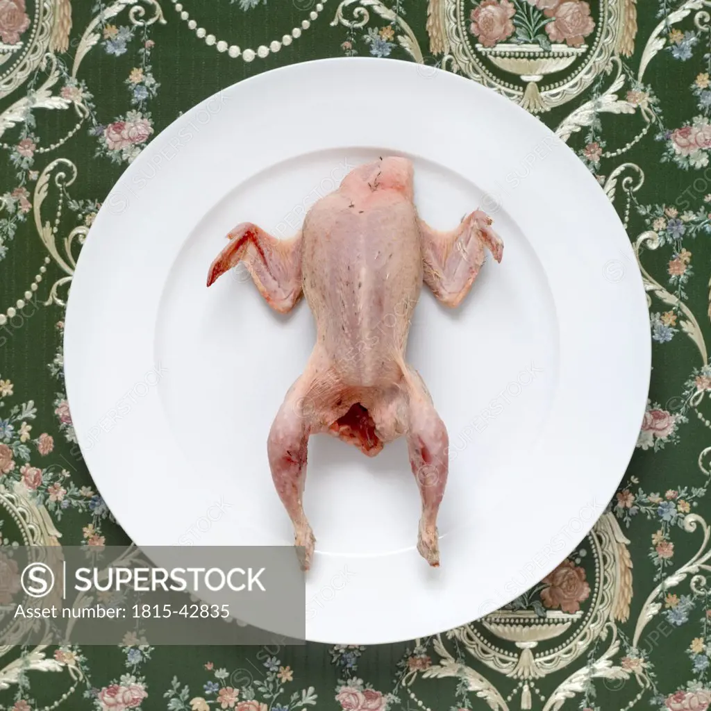 Raw quail on plate, elevated view