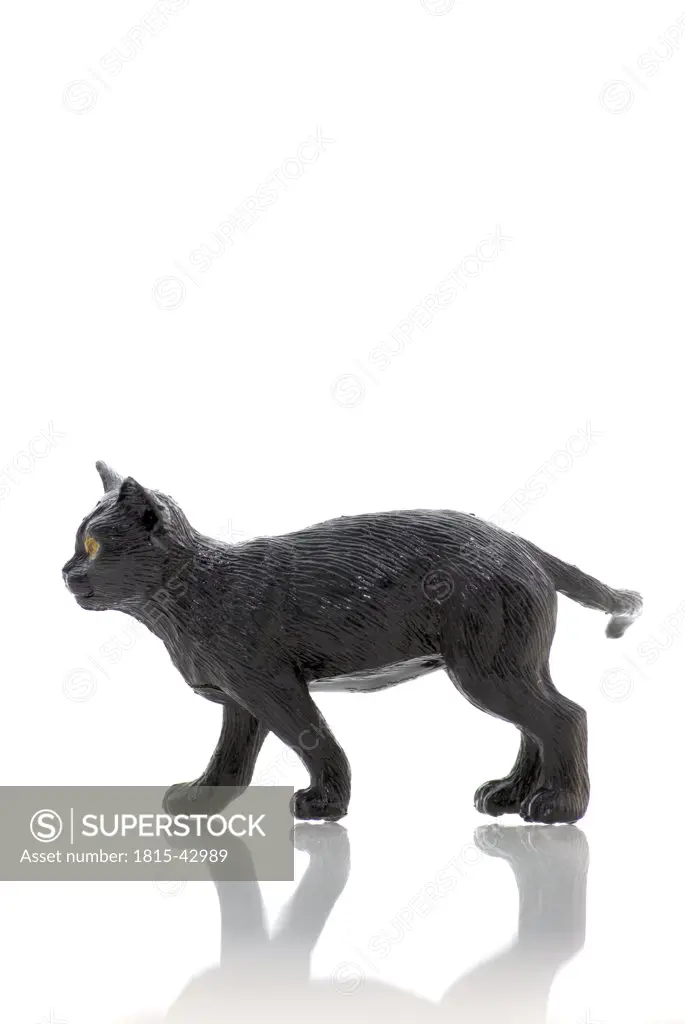 Black plastic cat