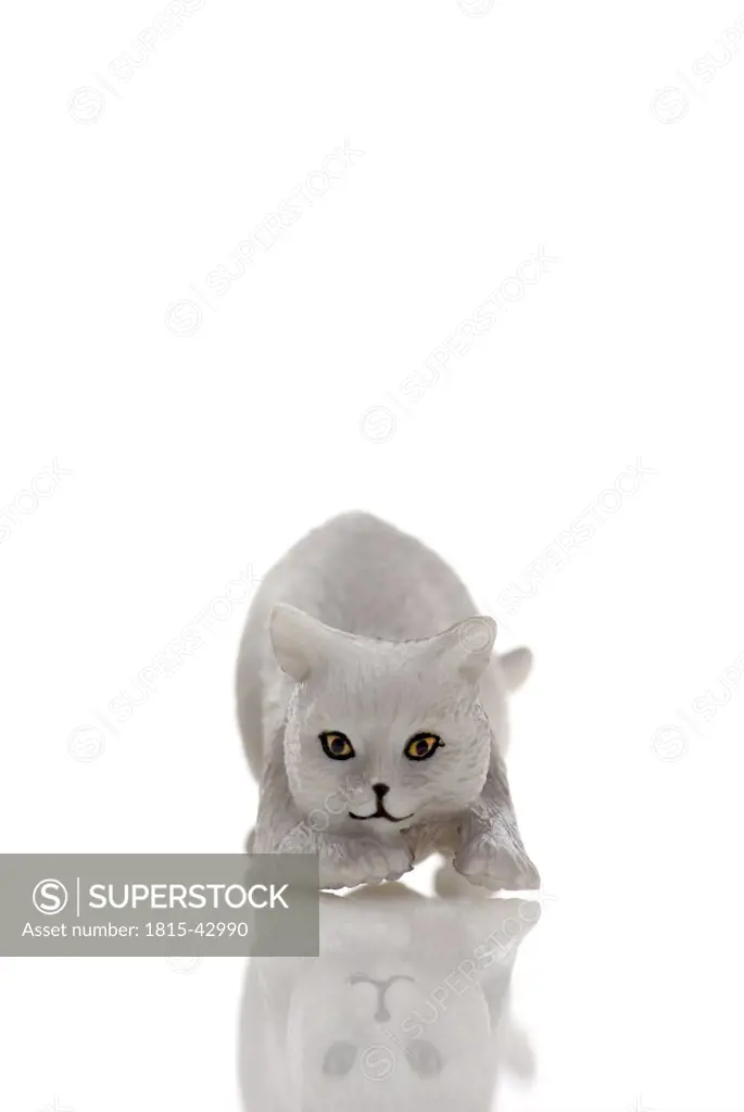 Toy plastic cat