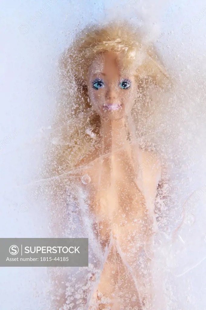 Frozen Barbie doll, elevated view