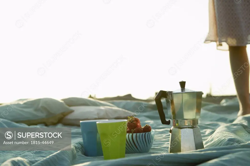 Coffeepot and cups on blanket, outdoors