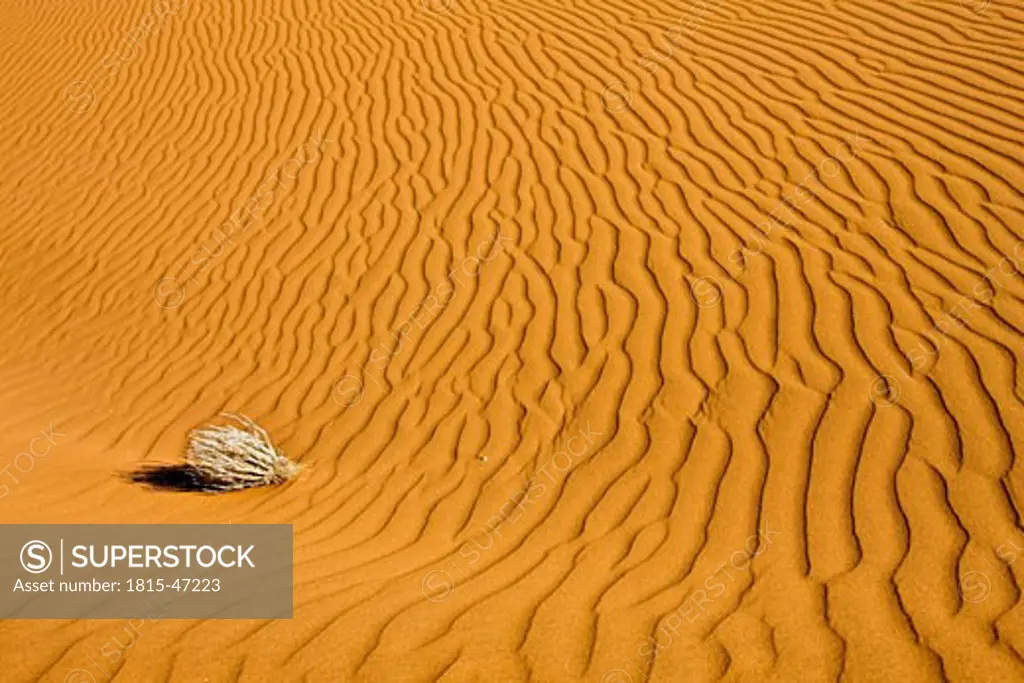 Africa, Namibia, Sossuvlei, Desert, Sand dunes
