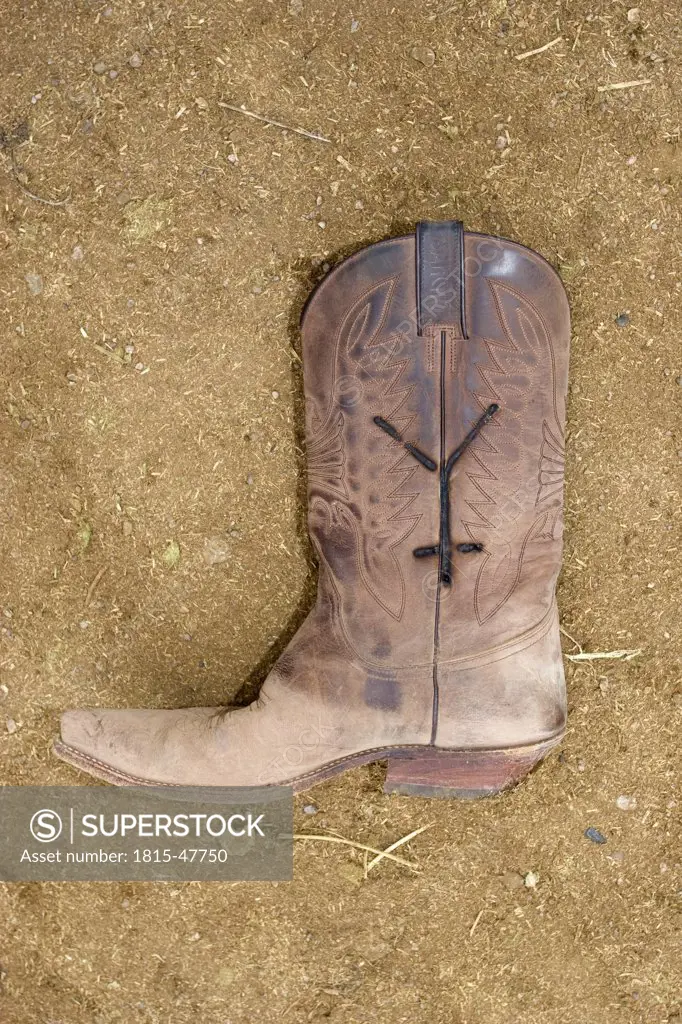 USA, Texas, Dallas, Cowboy boot with branding sign, elevated view