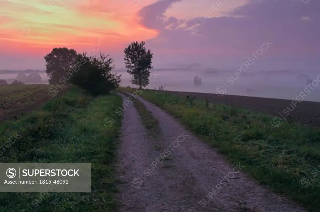 Germany, Field path at dawn