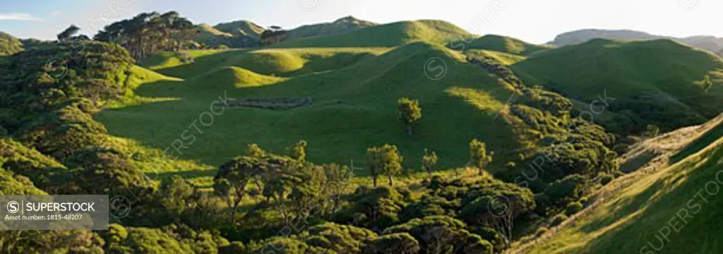 New Zealand, South Island, Port Puponga, Hilly landscape