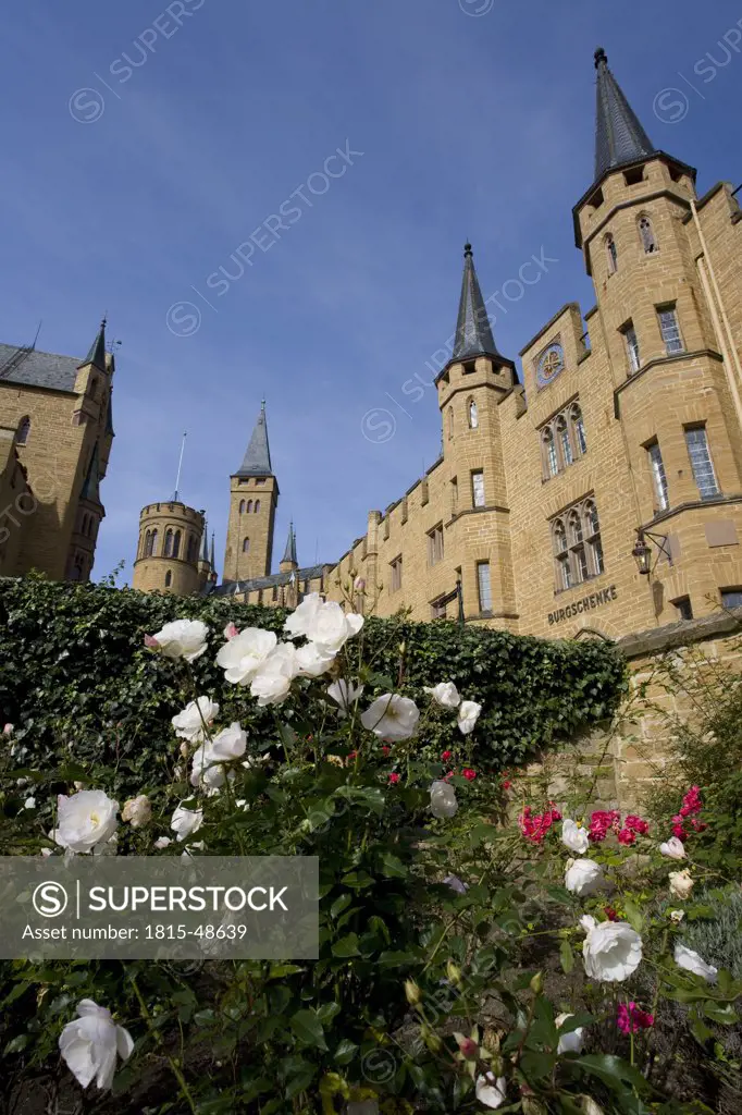 Germany, Hohenzollern Castle, Rose garden